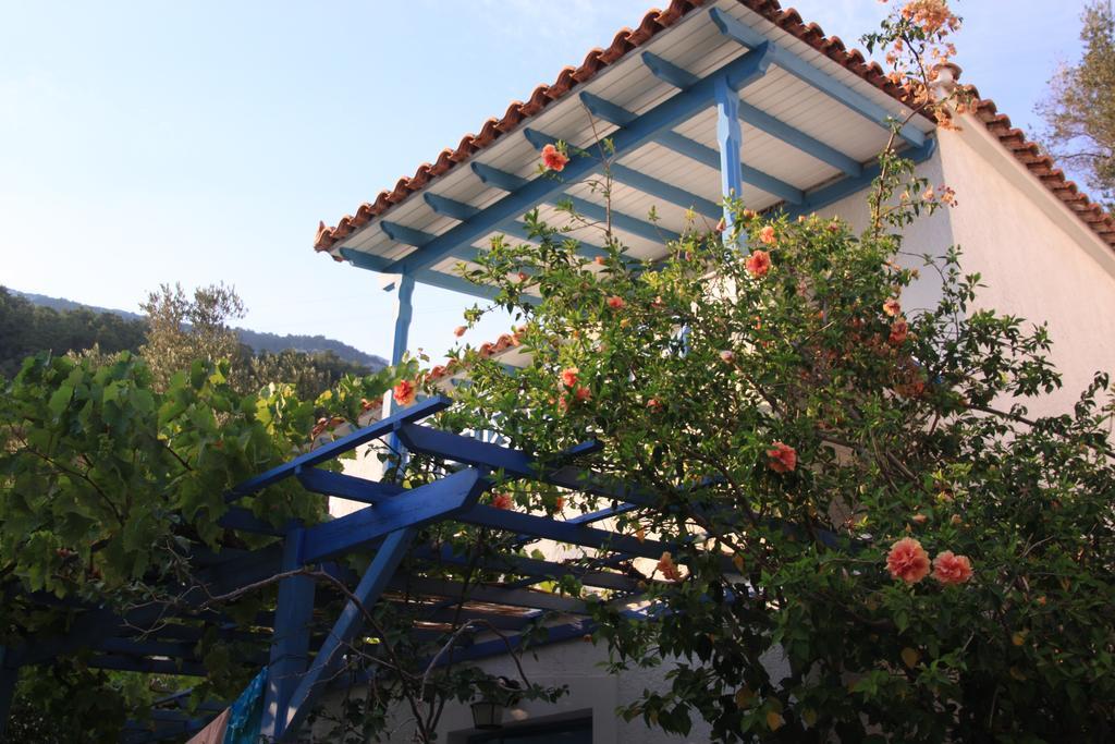 Blue Horizon Apartment Marathokampos Bagian luar foto